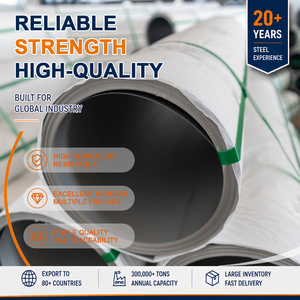 Hot <b>Rolled</b> 321 316L Satin 0.8mm x 1250mm ASTM A240 Precision Stainless Steel Coil for Chemical Processing - Product Image 1