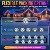 Éclairage LED extérieur permanent pour Noël, 12V 24V 36V, IP68, pierres précieuses, 30mm, UCS2904, point lumineux pixelisé pour corniches
