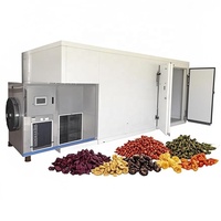 Séchoir à mangues hygiénique, chambre de séchage pour longanes, bonne performance pour les pruneaux séchés, déshydrateur de fruits et légumes, sécheur de feuilles de tabac, CE