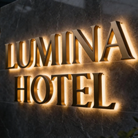 Enseigne lumineuse 3D personnalisée OEM pour salon de beauté, logo rétroéclairé doré, lettres illuminées Halo, signalétique commerciale pour spa, fabricant