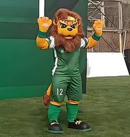 Costume de Mascotte Lion Personnalisé en Polyfoam, Tenue de Personnage Ambulant Taille Adulte pour Événements Promotionnels de Pâques, 1 Pièce MOQ OEM