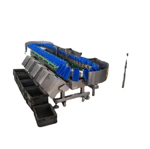 High efficiency weight sorter fruit and vegetable sorting equipment potato kiwi fruit grading machine