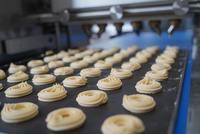 Petite machine commerciale automatique de dépôt de biscuits de gâteau de macaron de biscuit