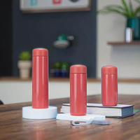 Bouteilles isothermes personnalisables, maintien au froid 6-10 heures, portables, adaptées aux enfants et sûres, pour les voyages et les déplacements
