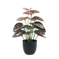 Plante artificielle mini calathea de 25 cm de haut, très vendue, décoration d'intérieur, petit bonsaï
