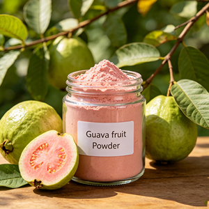 Poudre de goyave rose lyophilisée soluble dans l'eau, pure et naturelle, riche en vitamine <span class=keywords><strong>C</strong></span>, pour smoothies, boissons et pâtisseries - Product Image 2