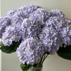 G167 Día de San Valentín Telón de fondo Decoración <span class=keywords><strong>Lila</strong></span> Púrpura Hortensia Tema Boda Arreglo floral Flores de hortensia artificiales - Product Image 5