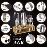 Kit de barman pour la mixologie, ensemble de shakers à cocktails en acier inoxydable, ensemble d'outils de bar 14 pièces, ensemble pour la préparation de martinis et de cocktails sans alcool