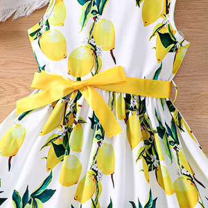 Vestido de Verano 2026 con Lazo para Niñas Pequeñas y Medianas, Venta al Por Mayor, Vestidos Casuales para Niños de Alta Calidad, Personalizados, OEM - Product Image 5