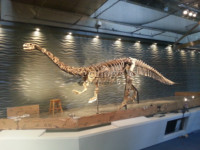 Pabrik Tekstur Dinosaurus 3d Seni Dekorasi Dinding Panel untuk Pameran