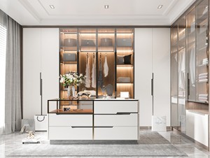 Tủ thiết kế hiện đại cho phòng ngủ kiểu mở, tủ để lưu trữ, tủ cloakroom - Product Image 1