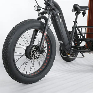 Vélo électrique à trois roues, <span class=keywords><strong>remorque</strong></span> cargaison, prix d'usine, bon marché, livraison avant - Product Image 2
