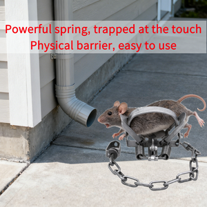 Piège à rats en fer robuste de 4,3 pouces pour la lutte antiparasitaire domestique - Tueur puissant pour les souris, les rongeurs, les taupes et les gaufres - Product Image 4