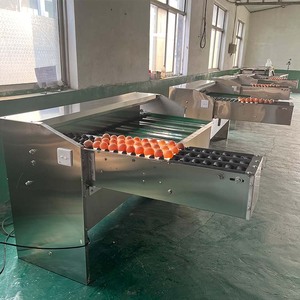 Máquina Comercial para el Procesamiento de Huevos, Clasificadora de Huevos de Acero Inoxidable, Máquina Automática para la Clasificación de Huevos por Peso - Product Image 4