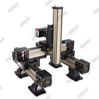 Mjunit XYZ 3 ejes Módulo lineal correa síncrona de precisión lineal guía pórtico construcción lineal no estándar