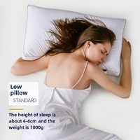 Oreiller de maison oblong à un seul coussin, qualité hôtel cinq étoiles, 200 fils/cm², polyester plié, uni, fabricant transfrontalier
