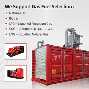 1200kw 1.2mW Biogas nhà máy tạo ra điện Cummins động cơ Biogas giá Máy phát điện - Product Image 4