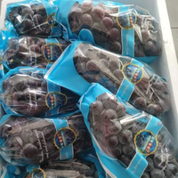 Prix Compétitif Raisins Noirs d'Été Sans Pépins Sucrés Comestibles pour Table et Dessert Fruits Premium Boîte Carton 5kg Export