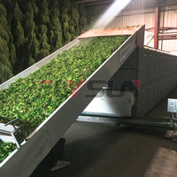 Sécheur de feuilles et de graines de chanvre, équipement de séchage à bande maillée pour chanvre, ligne de production de lavage et de séchage des plantes de chanvre