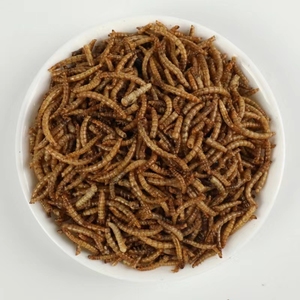 Tự nhiên động vật thực phẩm protein cao khô đen lính Fly ấu trùng - Product Image 5