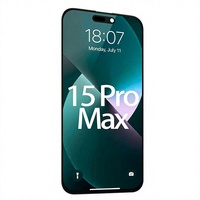 Écran LCD de remplacement pour 15 Pro Max, assemblage numériseur tactile In-Cell, compatible avec les modèles A2849/A3105/A3106/A3108