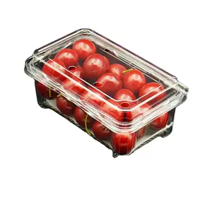 果物と野菜の包装用の使い捨てPET透明プラスチックプレートとボウルチェリートマトとマッシュルームボックス