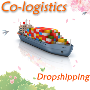 وكيل شحن بحري من الصين إلى أمريكا - Product Image 6