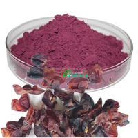 Extrait de fruit naturel pur anthocyanine colorant alimentaire Pigment extrait de peau de raisin rouge poudre anthocyanine de raisin rouge 1 ~ 10%