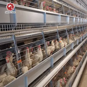 Chicken cage system 2024 hot sales China automatic poultry farm chicken layer cage