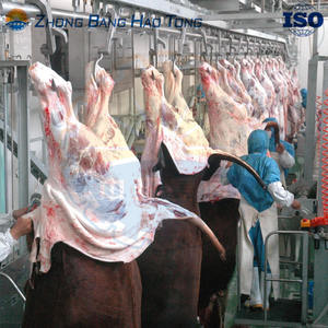 Équipement d'abattage de bétail <span class=keywords><strong>halal</strong></span> de qualité industrielle ZBHT, personnalisable, avec garantie d'un an pour l'utilisation par les boucherons dans l'abattoir - Product Image 4