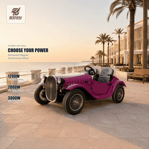 Carrello da Golf - Alta Qualità, Prezzo Conveniente. Miniature Vintage per Parchi di Divertimento <span class=keywords><strong>Auto</strong></span> Sportiva Elettrica a Benzina per Intrattenimento - Product Image 2