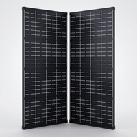 Panneaux solaires monocristallins à haute efficacité, module solaire PERC, 100W, 150W, 200W, panneaux de petite taille pour une utilisation en éclairage solaire extérieur