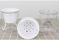 Pot de plante rond en plastique transparent auto-arrosant pour plantes succulentes, pour jardin et usage domestique, emballé en carton