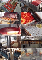 LWT Volledig Automatische Multifunctionele Hoge Efficiëntie Chocolade-Tomaat Conservenverwerkingsmachine Plant Voedingsmiddelenklasse