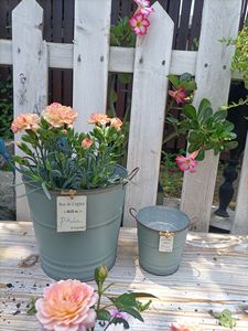 La Fábrica Tiene <span class=keywords><strong>en</strong></span> Stock: Artesanías Metálicas, Cubos <span class=keywords><strong>de</strong></span> Hojalata para Patio <span class=keywords><strong>de</strong></span> Villa, Decoraciones para Jardín Francés y Balcón, Macetas - Product Image 3
