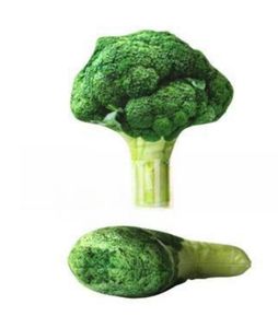 Jouets en peluche pour animaux <span class=keywords><strong>de</strong></span> compagnie, jouets à mâcher pour chiens, jouets à mâcher d'herbe à chat, jouets pour animaux <span class=keywords><strong>de</strong></span> compagnie en gros - Product Image 6