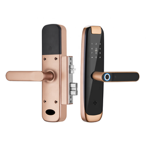 2022 bricolage installation serrure intelligente serrure d'entrée <span class=keywords><strong>sans</strong></span> clé empreinte digitale Tuya smart WiFi serrure <span class=keywords><strong>de</strong></span> <span class=keywords><strong>porte</strong></span> <span class=keywords><strong>sans</strong></span> menuiserie pas <span class=keywords><strong>de</strong></span> perçage - Product Image 2