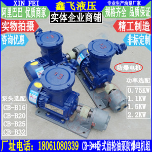 Ensemble de pompe à huile horizontale antidéflagrante WBZ-CB-B16 B20 B25 B32 avec moteur YB3-90L-4 de 1,5 kW - Product Image 1