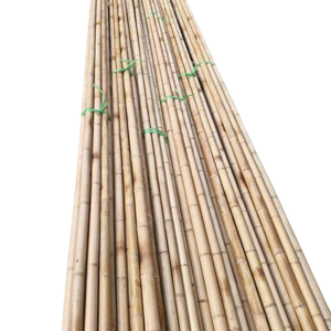 Postes de bambú tratado para construir arcos de jardín y estructuras de pérgola - Product Image 6