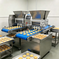 Machine extrudeuse de biscuits à grande vitesse, deux couleurs, pour une production importante, machine de formage de biscuits pour boulangerie