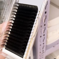 Fournitures en gros pour extensions de cils individuels en cachemire, plateaux d'extensions de cils en soie volume velours à marque privée avec logo personnalisé