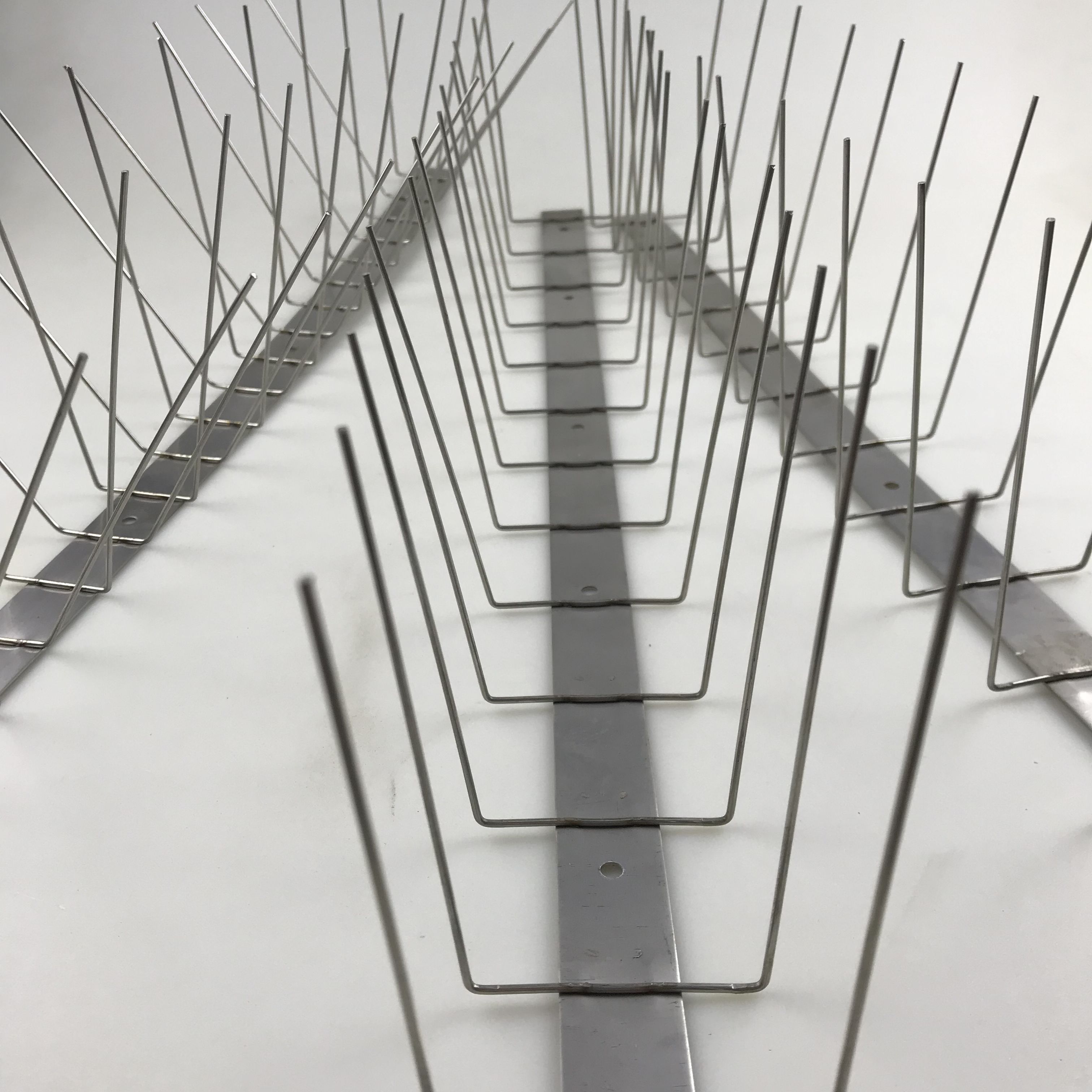 สีเทาอ่อน