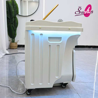 Bac à shampooing portable professionnel sans plomberie avec vapeur et connecteur, lavabo pour le lavage des cheveux en salon de beauté