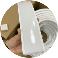 Insert gratuit 50x20mm grande taille remplacer le tube en silicone néon encastré en profilé d'aluminium pour diffuseur de bande LED