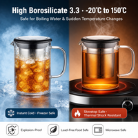 Mug à thé en verre borosilicate de 500 ml avec infuseur en acier inoxydable amovible et couvercle, tasse à thé en verre résistant à la chaleur pour le thé