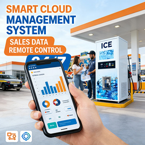 เครื่องทำน้ำแข็งอัตโนมัติแบบหยอดเหรียญสำหรับสถานีบริการน้ำมัน - Product Image 5