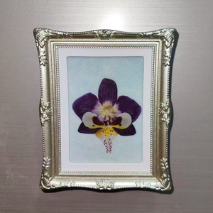OUHONG DIY Cadre flottant aimanté pour réfrigérateur, Décoration artisanale magnétique avec papillons, coquillages et fleurs pressées - Product Image 1