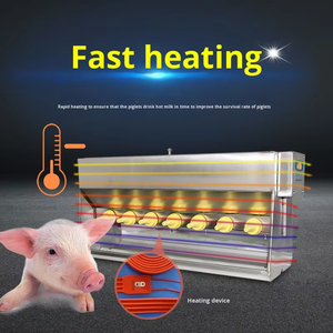 Nuovo Alimentatore per Suinetti in Acciaio Inox, Macchina per l'Alimentazione a Doppio Lato con Controllo Accurato della Temperatura, Strumento per l'Alimentazione dei Suinetti - Product Image 5