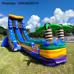 Toboggan aquatique gonflable à double piste pour adultes et enfants, usage commercial et domestique, taille et couleur personnalisables - Product Image 6