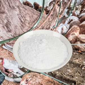 Cloruro de Colina en Polvo Blanco, Extracto Herbal de Grado Alimenticio 99%, Suministro de Fábrica, Embalaje en Tambor, Mejor Precio para Alimento de Aves, CAS 67-48- - Product Image 3